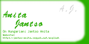 anita jantso business card